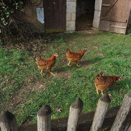 Chambres D'Hote En Dordogne Beauronne Esterno foto